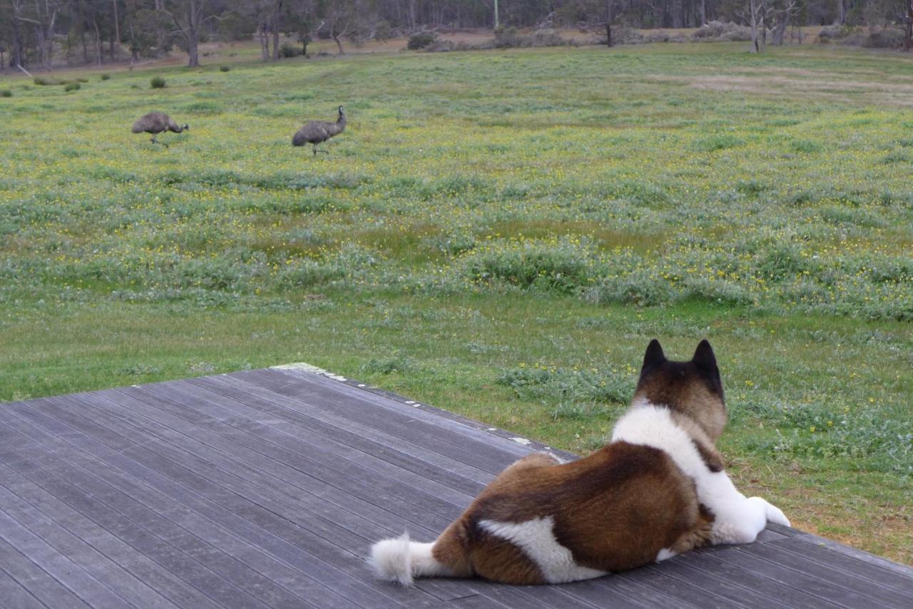 Margaret River Farmhouse Rosa Glen Eksteriør bilde